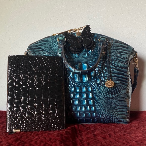 My Brahmin Set Is Complete! - Picture 6 of 12